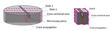 medium/medium-MC-71-344-e264-gf4.png