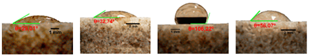 medium/medium-MC-73-349-e309-gf5.png