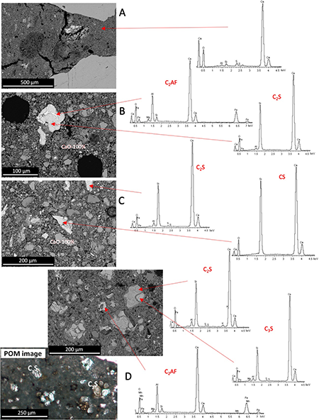 SEM images and EDS spectra of the binders of A) CL90-S PL, B) NHL2, C) NHL5, D) OPC. The presence of different calcium silicates stands out (wollastonite - CS, larnite/belite - C2S, hatrurite/alite - C3S, brownmillerite - C2AF).