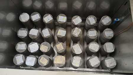 Freeze-thaw chamber and samples used in the experiment.