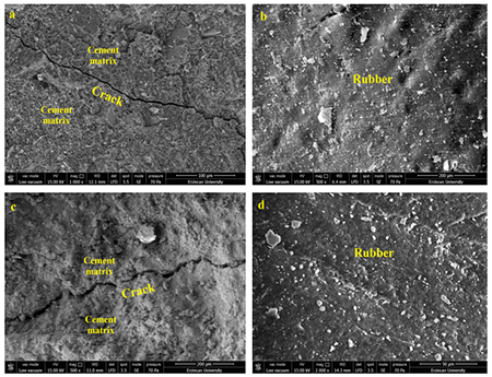 Structure of the concretes; (a) control concrete (0.4C) mag x1.000, (b) 24% waste rubber substituted concrete (0.4WR24) mag x500, (c) control concrete (0.5C) mag x500, (d) 24% waste rubber substituted concrete (0.5WR24) mag x2.000.