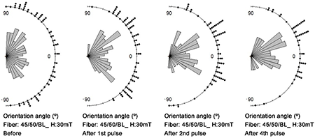 Directional distribution of fibers before and after magnetic alignment through DMP and D-SMP in 2 and 4 pulses of 30 mT at different planar angles of 45/50 fiber.