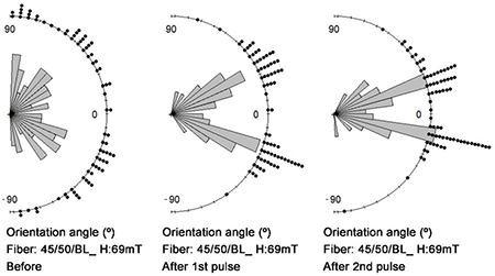Directional distribution of fibers before and after magnetic alignment through DMP and D-SMP in 2 pulses of 69 mT at different planar angles of 45/50 fiber.