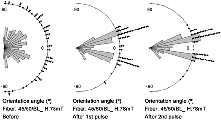 Directional distribution of fibers before and after magnetic alignment through DMP and D-SMP in 2 pulses of 78 mT at different planar angles of 45/50 fiber.