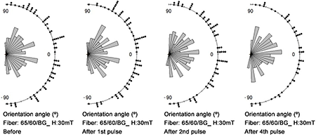 Directional distribution of fibers before and after magnetic alignment through DMP and D-SMP in 2 and 4 pulses of 30 mT at different planar angles of 65/60BG fiber.