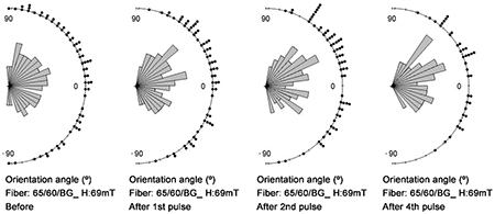 Directional distribution of fibers before and after magnetic alignment through DMP and D-SMP in 2 and 4 pulses of 69 mT at different planar angles of 65/60BG fiber.