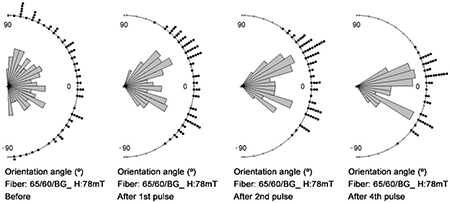 Directional distribution of fibers before and after magnetic alignment through DMP and D-SMP in 2 and 4 pulses of 78 mT at different planar angles of 65/60BG fiber.