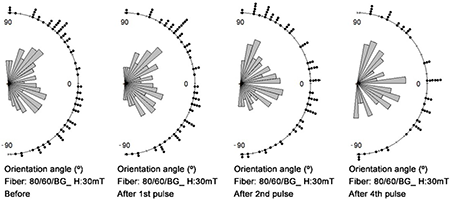 Directional distribution of fibers before and after magnetic alignment through DMP and D-SMP in 2 and 4 pulses of 30 mT at different planar angles of 80/60BG fiber.