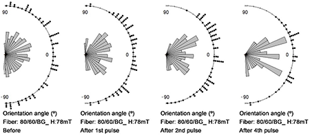 Directional distribution of fibers before and after magnetic alignment through DMP and D-SMP in 2 and 4 pulses of 78 mT at different planar angles of 80/60BG fiber.