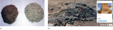 Different fibers after preparation, a) manually dispersed coconut fibers and juncus fibers after grinding, b) location of soil extraction site.
