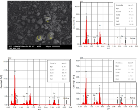 SEM results and EDS analysis of the soil studied.
