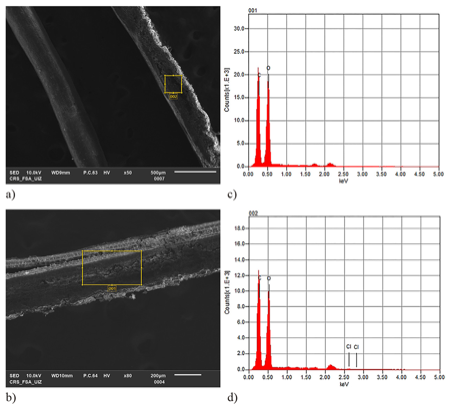 SEM results of studied fiber stems, (a) longitudinal section of juncus stem, (b) longitudinal section of coconut stem, (c) EDS analysis of juncus, (d) EDS analysis of coconut fiber stem.