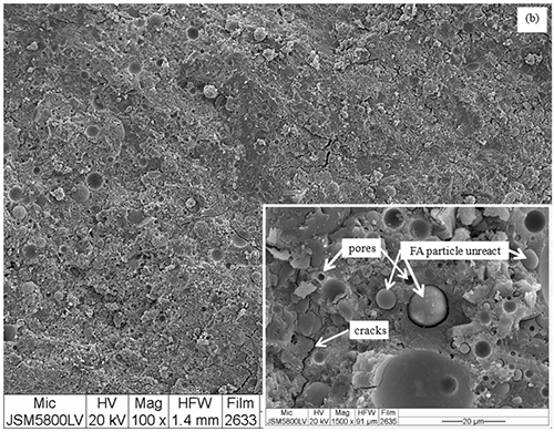 Micrografía electrónica en escala de grises que muestra una superficie con poros, grietas y partículas no reaccionadas etiquetadas en un recuadro ampliado.

Descripción generada con IA