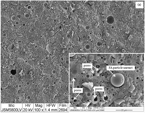 Micrografía electrónica en escala de grises que muestra una superficie con múltiples poros y una partícula de FA sin reaccionar señalada en un recuadro ampliado.

Descripción generada con IA