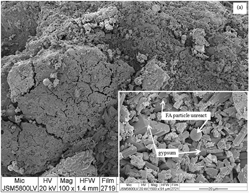 Micrografía electrónica en blanco y negro que muestra partículas de un material con áreas etiquetadas como "partícula FA no reaccionada" y "yeso" en un recuadro ampliado dentro de la imagen principal.

Descripción generada con IA