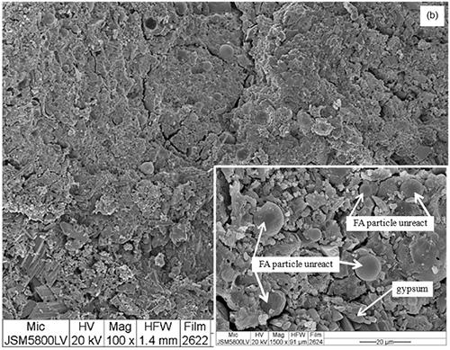Micrografía electrónica que muestra partículas de FA y EA no reaccionadas junto a yeso en una superficie rugosa con un recuadro ampliado para mayor detalle.

Descripción generada con IA