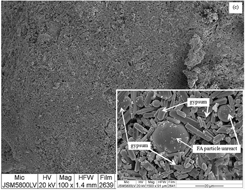 Micrografía electrónica que muestra una superficie rugosa con un recuadro ampliado que señala partículas de yeso y partículas no reaccionadas de FA.

Descripción generada con IA