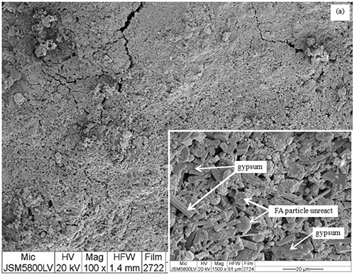 Micrografía electrónica en escala de grises que muestra una superficie con partículas de yeso y partículas de FA sin reaccionar señaladas con flechas.

Descripción generada con IA