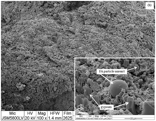 Micrografía electrónica que muestra partículas no reaccionadas de FA y cristales de yeso en una superficie rugosa con detalles ampliados en un recuadro.

Descripción generada con IA