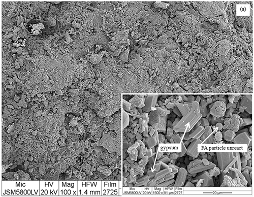 Micrografía electrónica que muestra una superficie rugosa con un recuadro ampliado que identifica partículas de yeso y partículas de FA no reaccionadas.

Descripción generada con IA