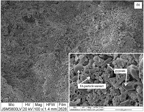 Micrografía electrónica que muestra partículas no reaccionadas de FA y cristales de yeso en una superficie con aumento detallado en un recuadro.

Descripción generada con IA