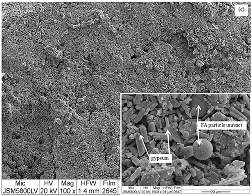 Micrografía electrónica que muestra una superficie rugosa con partículas etiquetadas como yeso y partículas de FA no reaccionadas en un recuadro ampliado.

Descripción generada con IA