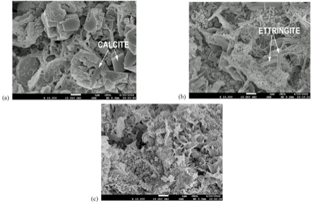 Microstructure of RR mortar samples (reference samples): (a) 7 days, (b) 14 days, (c) 56 days.